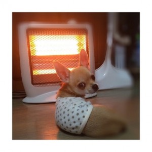 週末の予約状況！～赤羽美容室Belu～