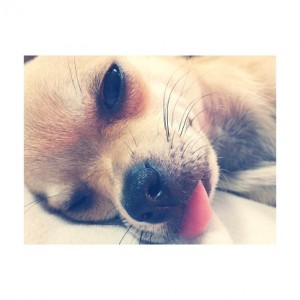 本日のご予約状況☆～赤羽美容室Belu～