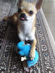 今週末のご予約状況！～赤羽美容室Belu～