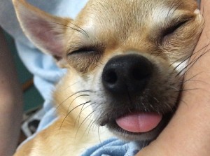 今週末のご予約状況！～赤羽美容室Belu～