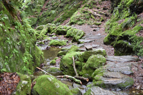 まいなすいおん